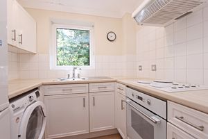 Photo 10- click for photo gallery